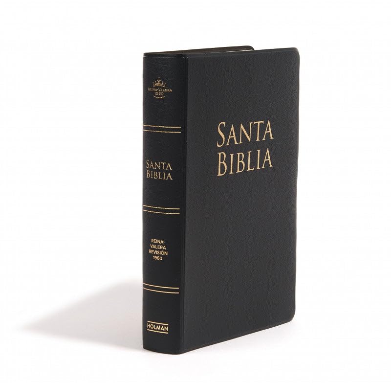 Biblia RVR 1960 Letra Grande Tamaño Manual Vinilo