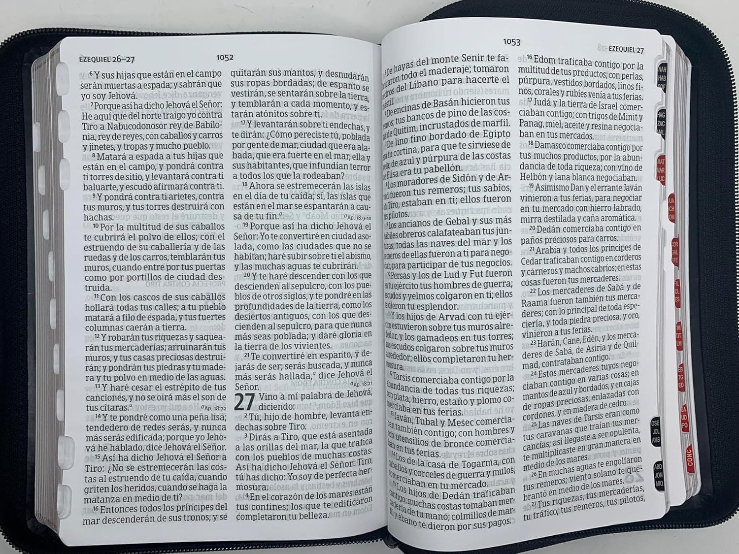 RVR60 Biblia Tamaño Manual Letra Grande con Cierre e Índice. Edicion limitada