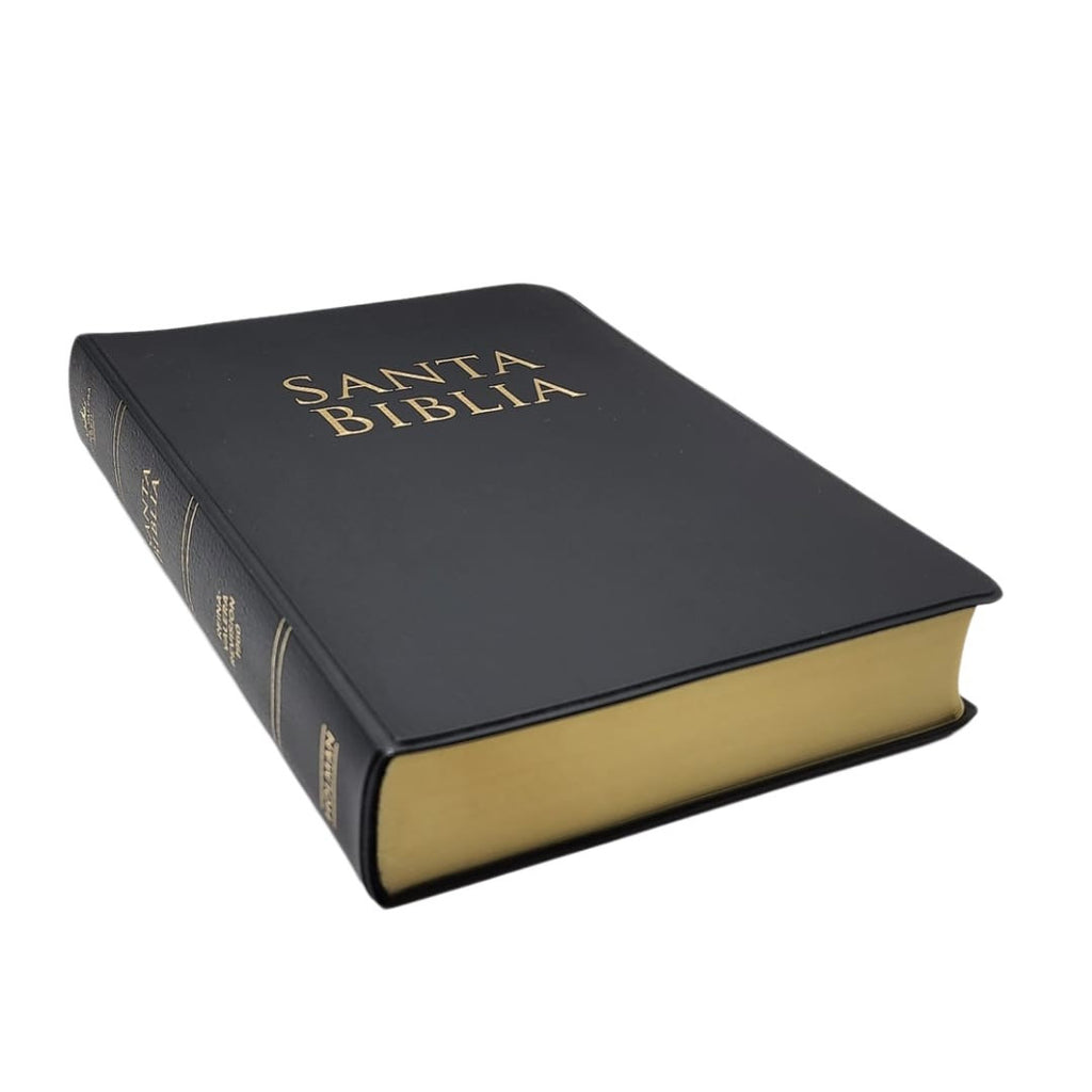 Biblia RVR 1960 Letra Grande Tamaño Manual Vinilo