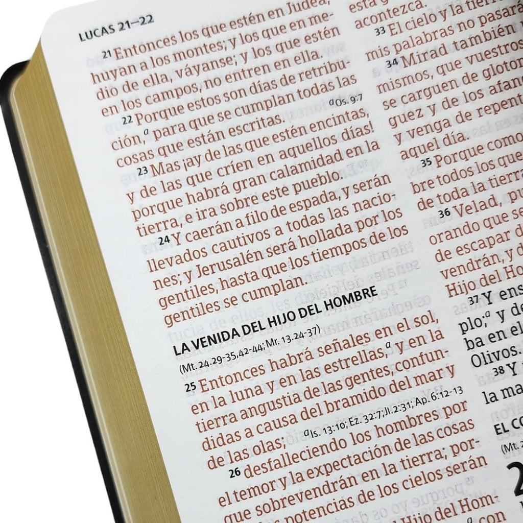 Biblia RVR 1960 Letra Grande Tamaño Manual Vinilo