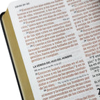 Biblia RVR 1960 Letra Grande Tamaño Manual Vinilo