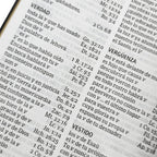 Biblia RVR 1960 Letra Grande Tamaño Manual Vinilo