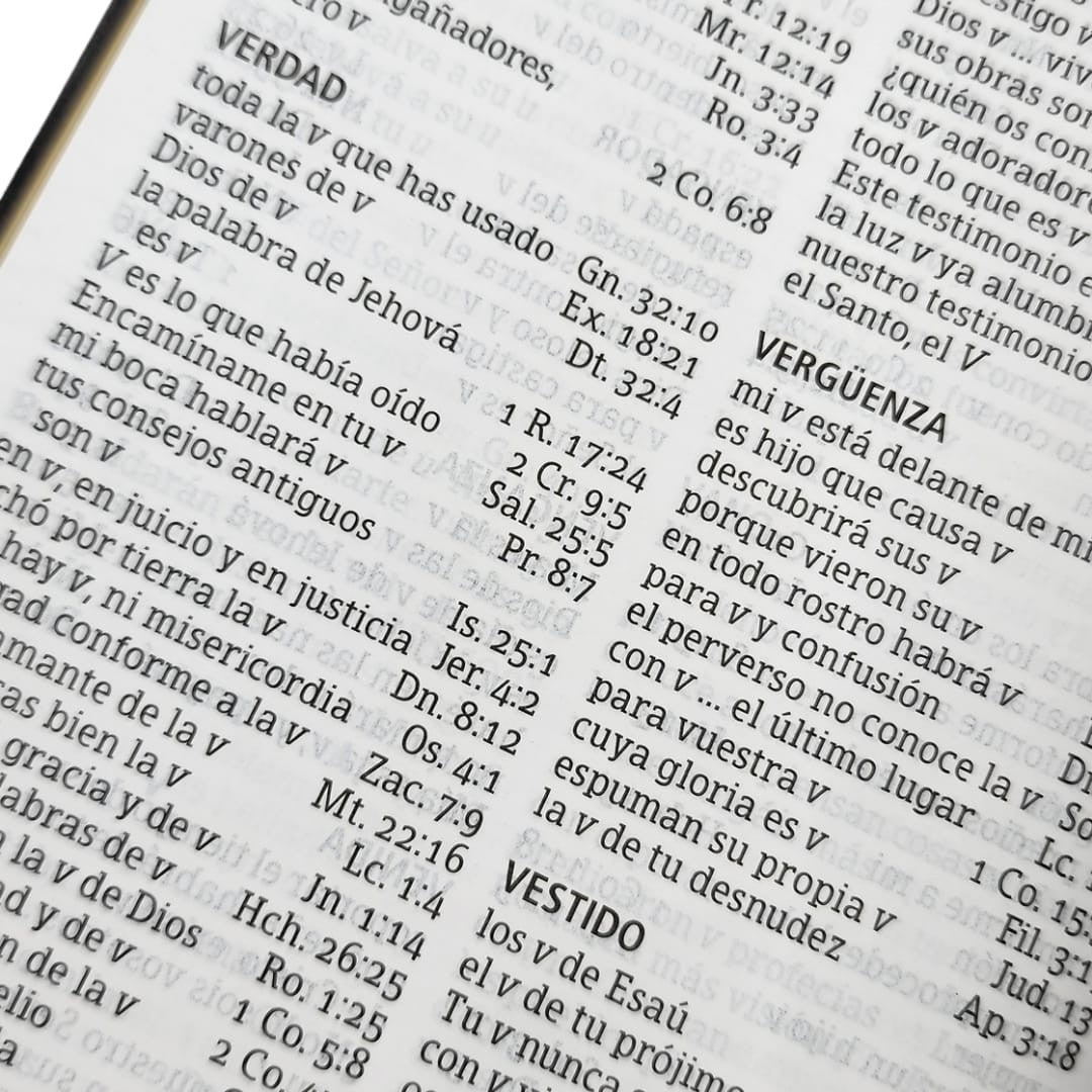 Biblia RVR 1960 Letra Grande Tamaño Manual Vinilo