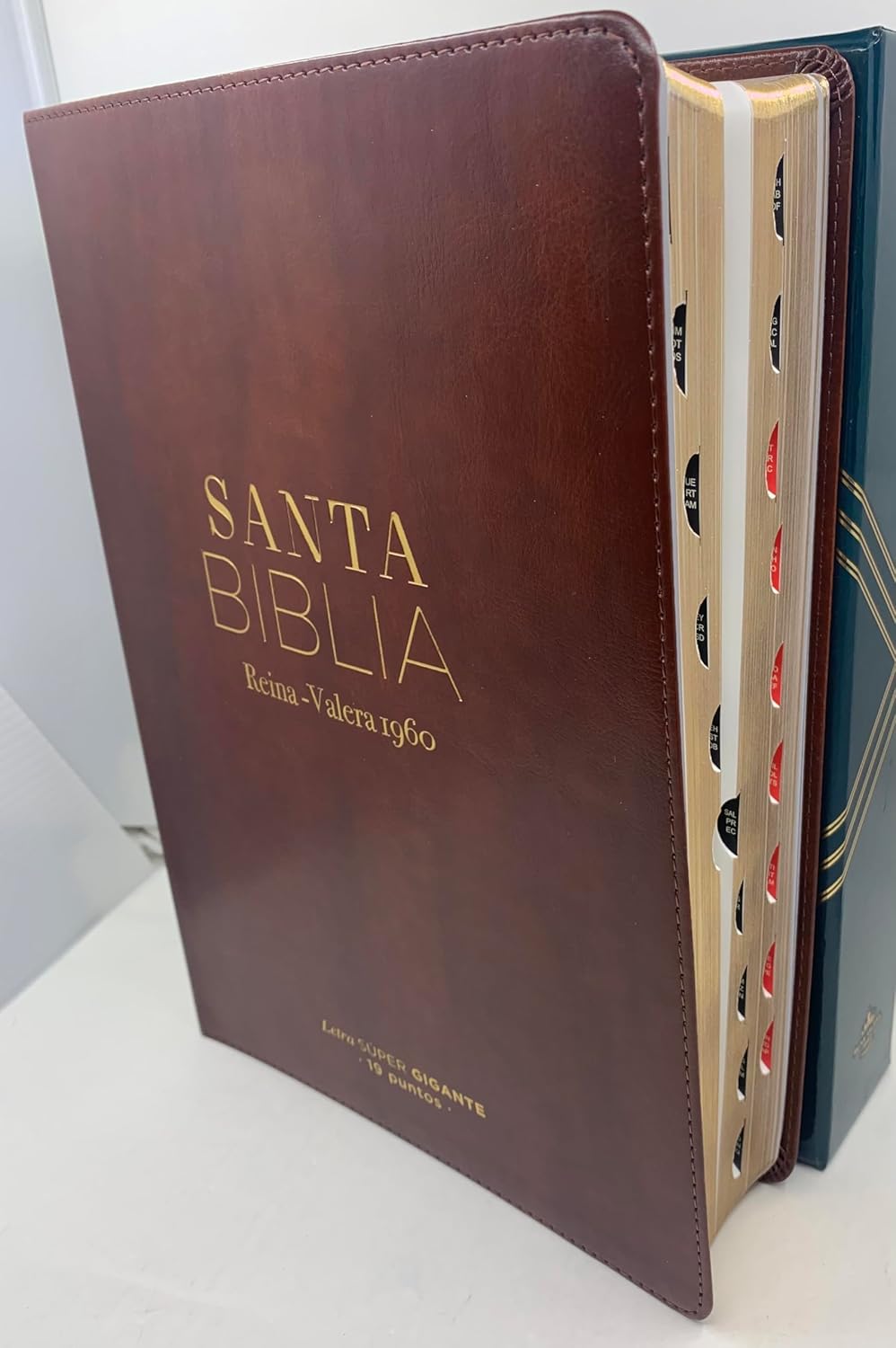 SANTA BIBLIA REINA VALERA 1960 CAFÉ LETRA GRANDE