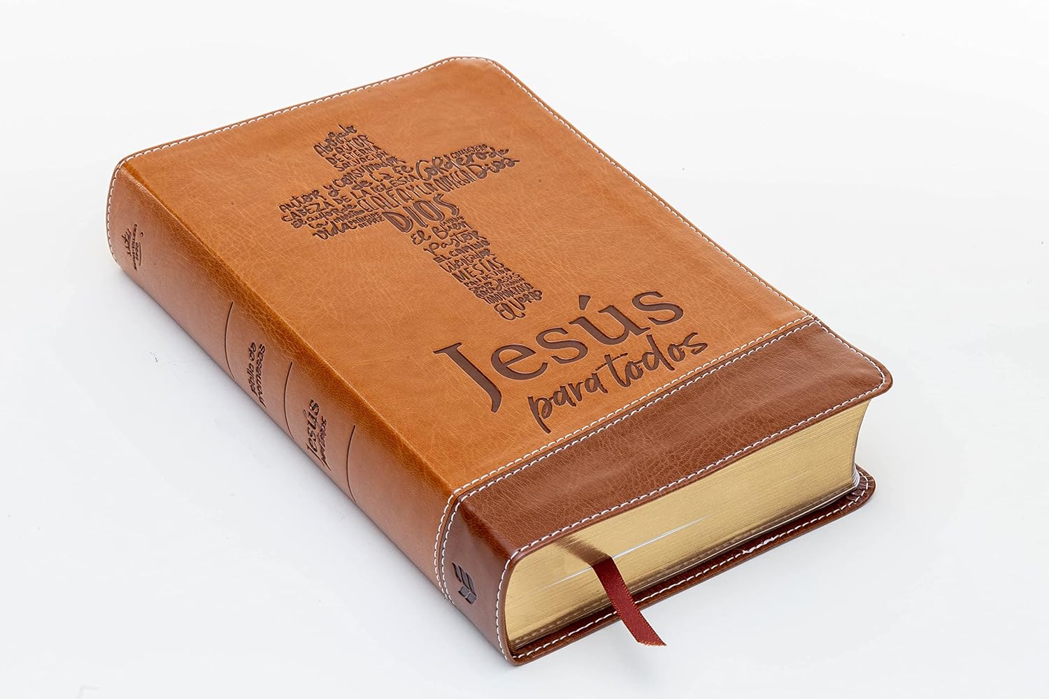 BIBLIA DE PROMESAS REINA VALERA 1960